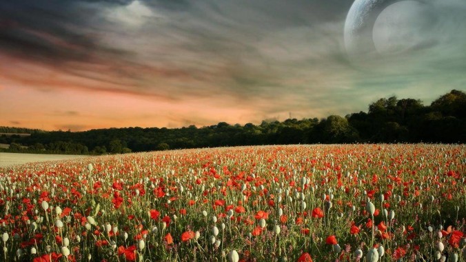 你怎么看待剪映收费过高问题?